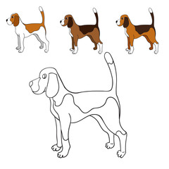 Cute cartoon contour beagle isolated on white background.