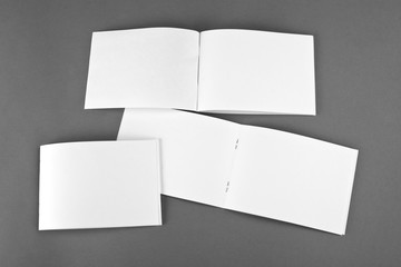 Blank catalog, brochure, magazines, book mock up.