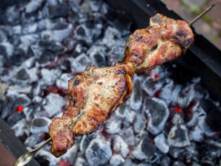Barbecue, grilled meat on charcoal, saslik