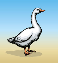 Goose. Vector drawing