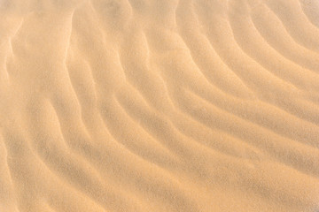 Fototapeta na wymiar sand pattern from beach, summer background
