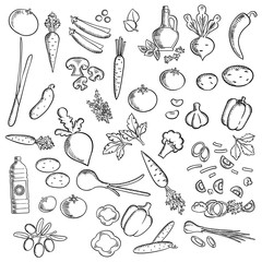 Fresh vegetables and condiments sketch icon