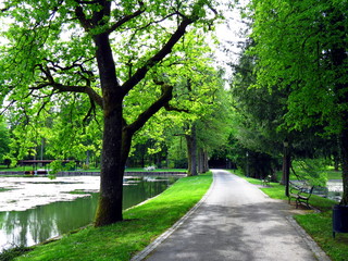 Sidewalk in green park near lake