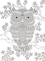 adult coloring page with gorgeous owl