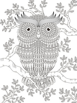 adult coloring page with gorgeous owl