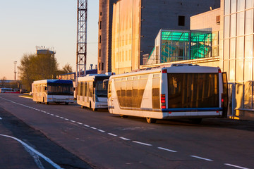 Naklejka premium Airport buses in the morning light near the terminal under construction