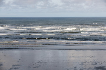 People digging for clams on the Washington coast