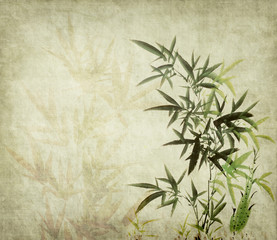 bamboo on old grunge paper texture background