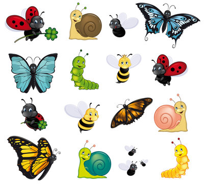 colorful insect assortment