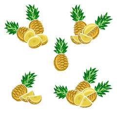 Pineapple set. Vector