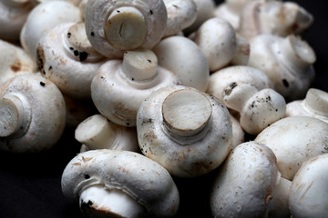  fresh champignon mushrooms on a dark background