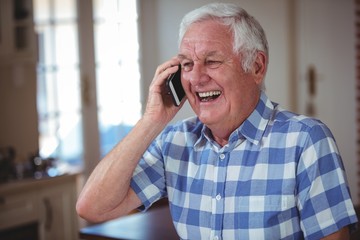 Cheerful senior man talking on mobile phone 