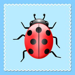Ladybug