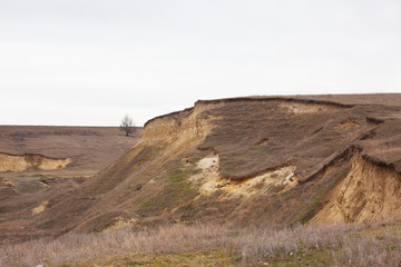 Lonely tree on a hill.