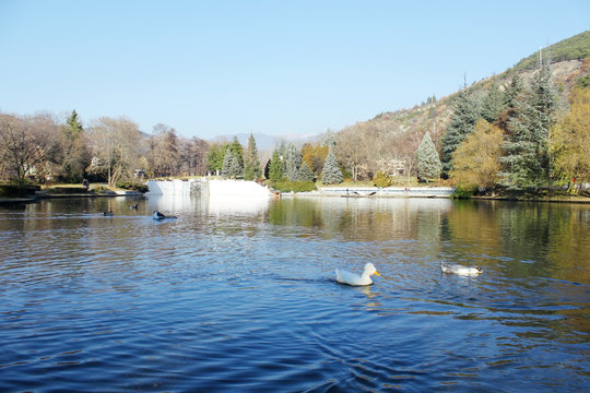 Sandanski Park