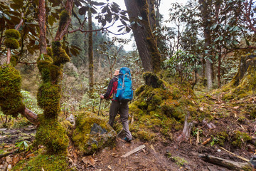 Hike in Nepal jungle