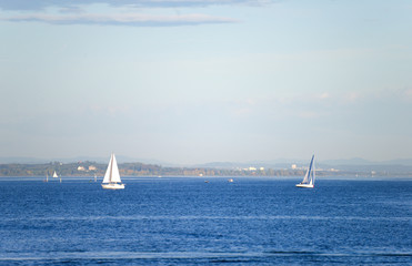 Obraz premium Segelboote am Bodensee 