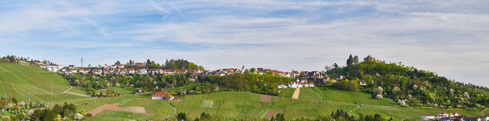 Panorama Stuttgart-Rotenberg mit Grabkapelle Württemberg