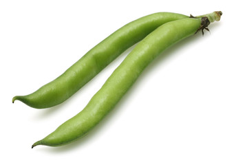 Broad Bean