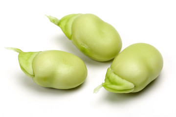 Broad Bean © mates