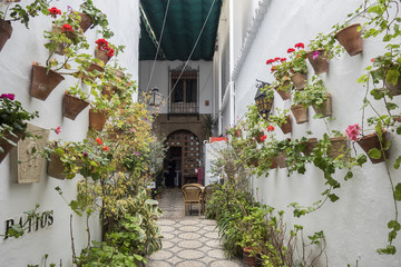 Courtyard decorated with geraniums, Cordoba, Spain