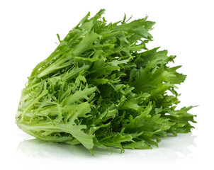 Escarole Endive 