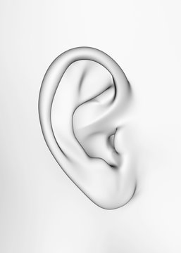 Ear - 3D