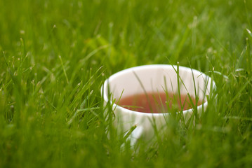 cup of tea on the grass lawn with copyspace