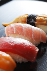 寿司　Japanese Sushi
