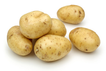 Potato group