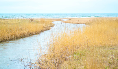 River and sea