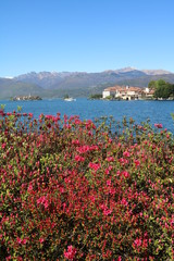 Isola Bella and Isola Superiore in spring at Lake Maggiore Italy 