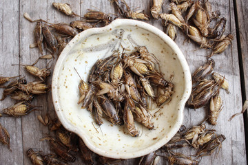 Fried insect