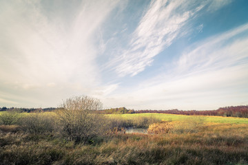Fototapeta na wymiar Green field landscape in autumn