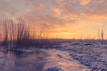 Frozen lake with grass silhouettes