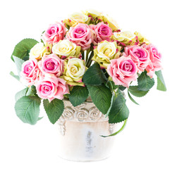 beautiful pot of delicate flowers on a white background