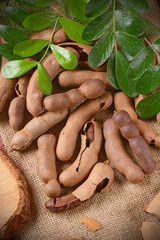 baccelli di tamarindo