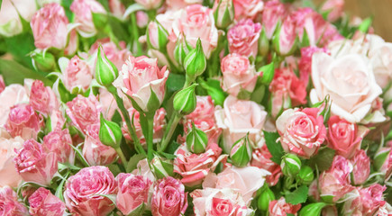 Fototapeta premium Bouquet of little pink roses