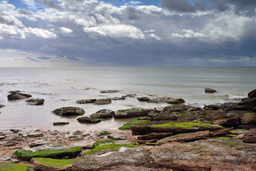 paysage côtier