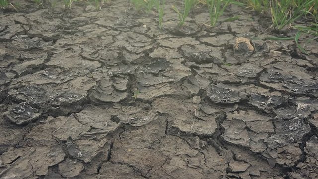 Dolly slider shot of soil drought, mud cracks in dry land, environmental and ecology issue