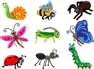 Set of different types of insects isolated on white background in flat style. Vector illustration. Detailed illustration insect isolated in flat style on white background