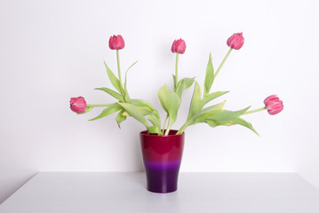 Vaso di fiori tulipani