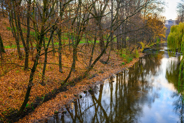 small river in autumn forest
