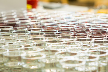 Glasses of Water and Juice