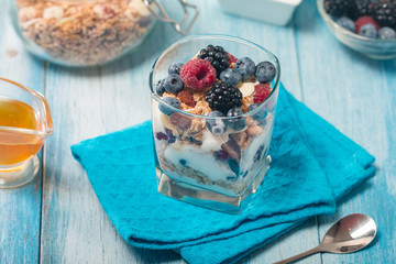 bowl of muesli and yogurt with fresh berries