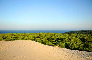 Duna y pinar de Bolonia, Parque Natural del Estrecho, Tarifa, España