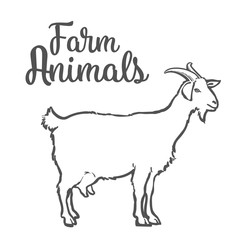 Farm pet goat sketch drawn by hand, cattle, milk and goat meat, goat meat, one farm horned animal on a white background, vector illustration livestock - goats.