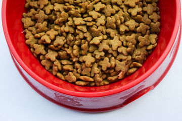 Cat food in bowl isolated on white background.