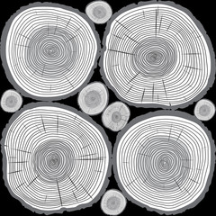 Vector Trunk and rings of Tree. Black Illustration and Background