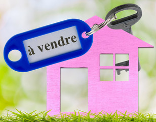 petite maison rose à vendre à la campagne.